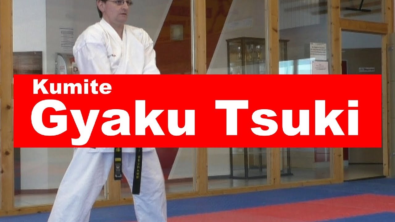 Gyaku Tsuki Karate Kumite Training Tutorial