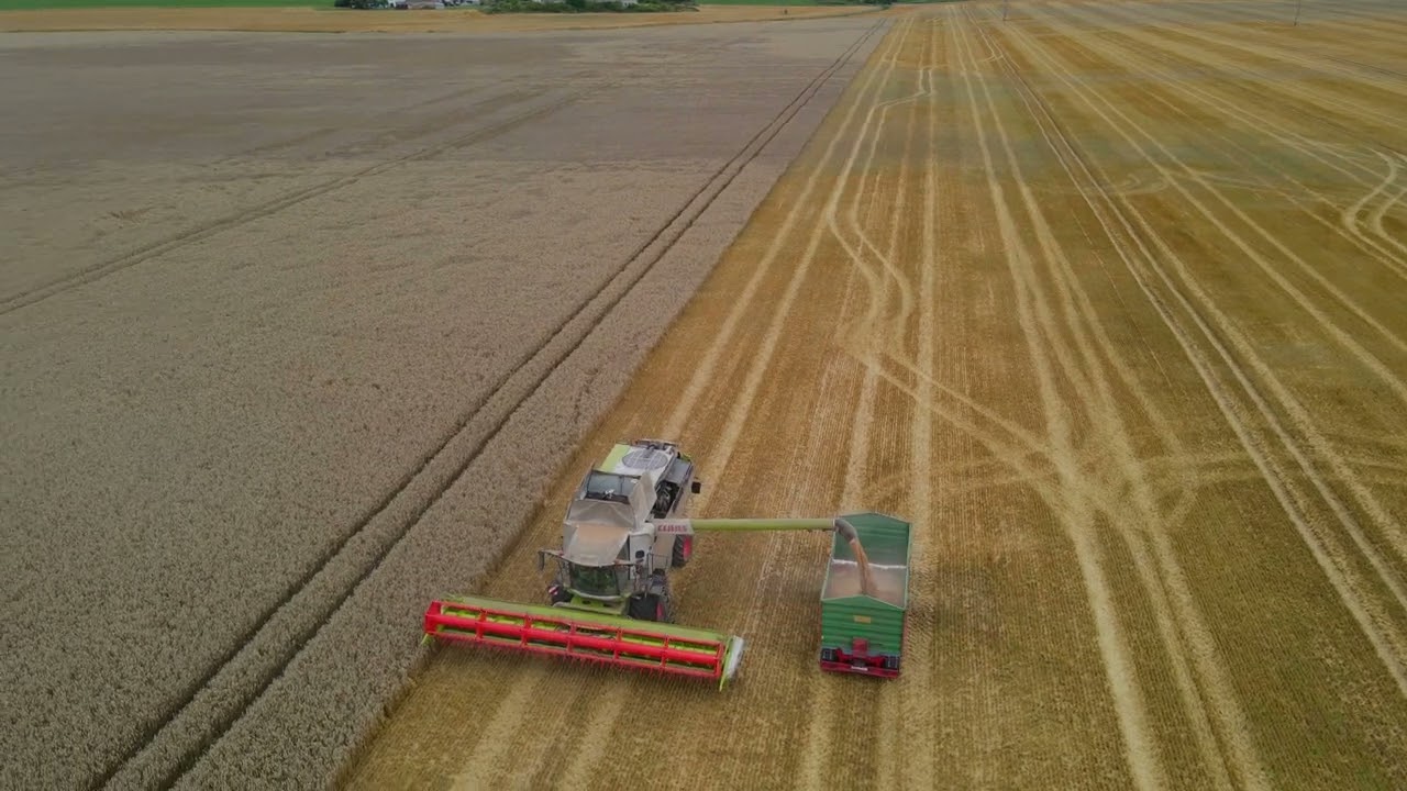 Żniwa 2024 Gmina Strzałkowo