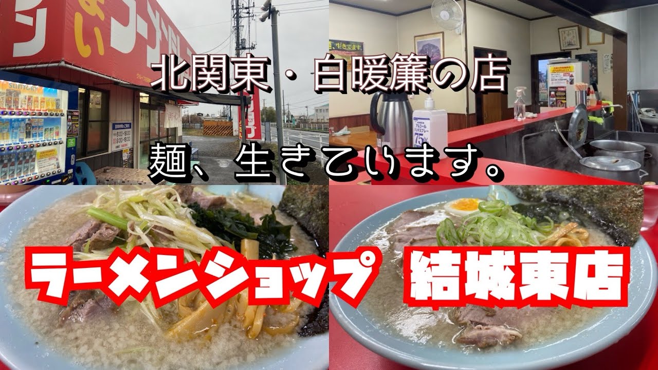 【茨城県結城市】北関東・白暖簾の店「麺、生きています。」ラーメンショップ 結城東店 #ラーメン巡り #ラーメン #ラーメン好きな人と繋がりたい #ラーメンチャンネル 