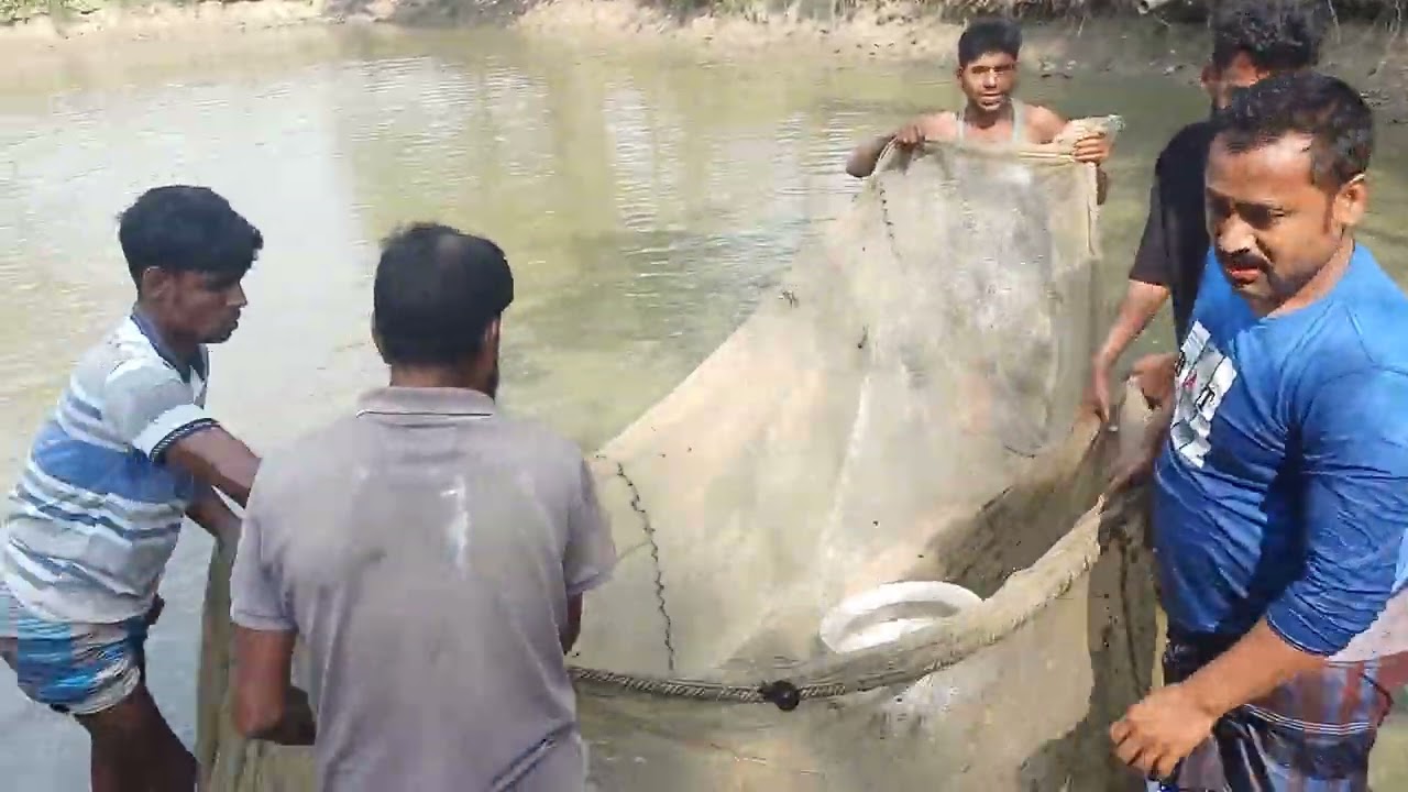 আমাদের পুকুরের মাছ ধরতে ভিডিও করা
