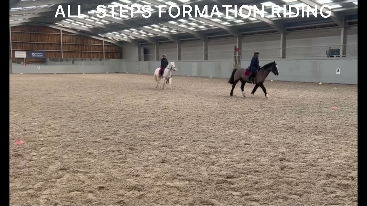 Salt & Pepper 16/02/26 All-Steps Formation Riding clinic 