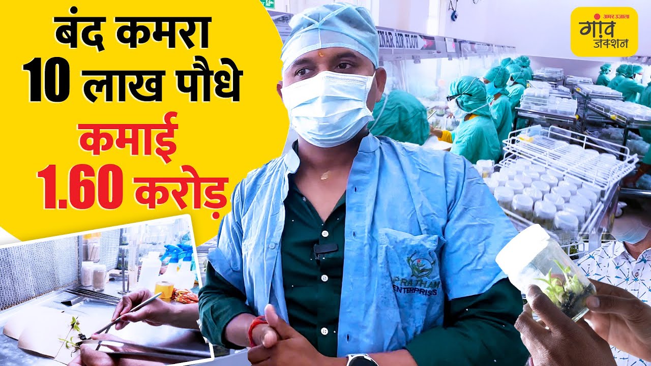 बिना खेत के हो रही खेती, कैसे बनी ये 30 लाख पौधों की फैक्ट्री? | Gaon Junction LIVE