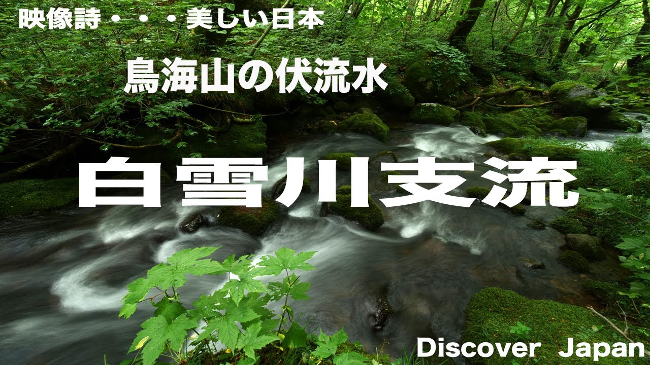 鳥海山・　あがりこの森を流れる鳥海山の伏流水・白雪川支流