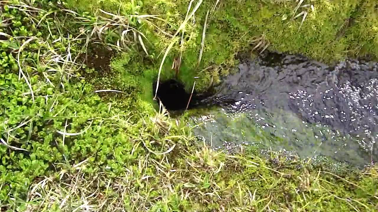 Disappearing mountain water stream
