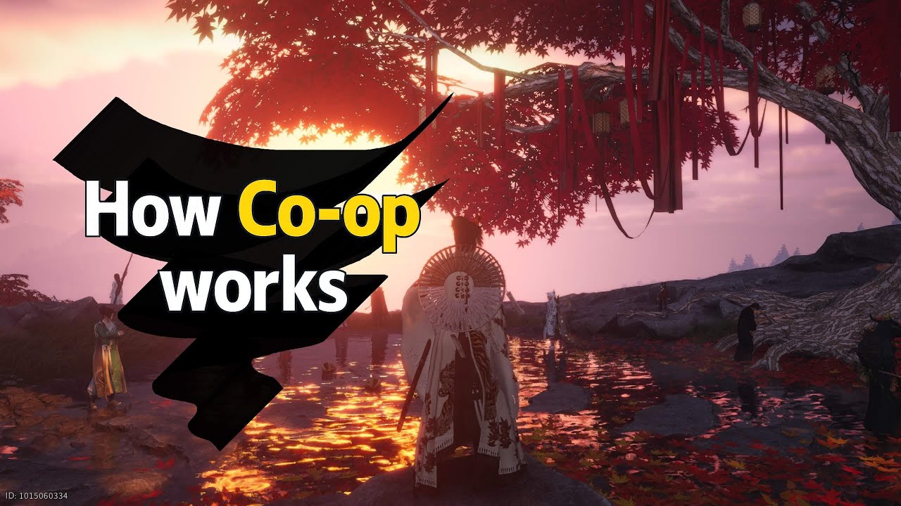 [WWM] Co-Op Explained (Why It Confuses Everyone — Not Just You)