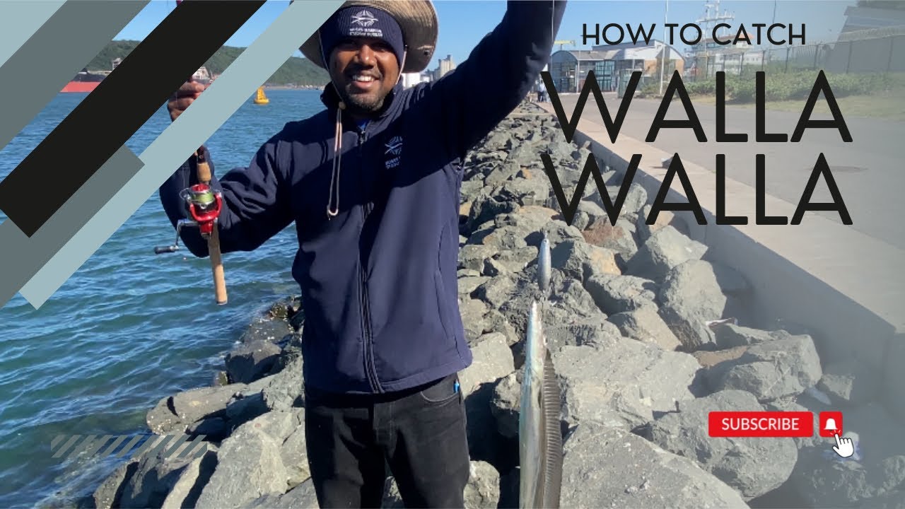 Fishing Durban Harbour. Tips on how to catch Walla Walla. Non-stop Action @rightcastfishing