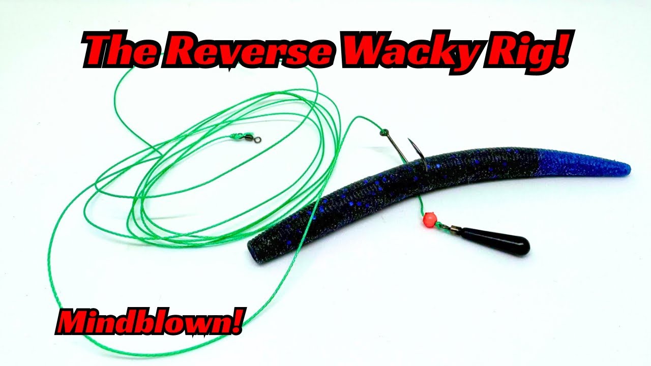 The Reverse Wacky Rig! MINDBLOWN!