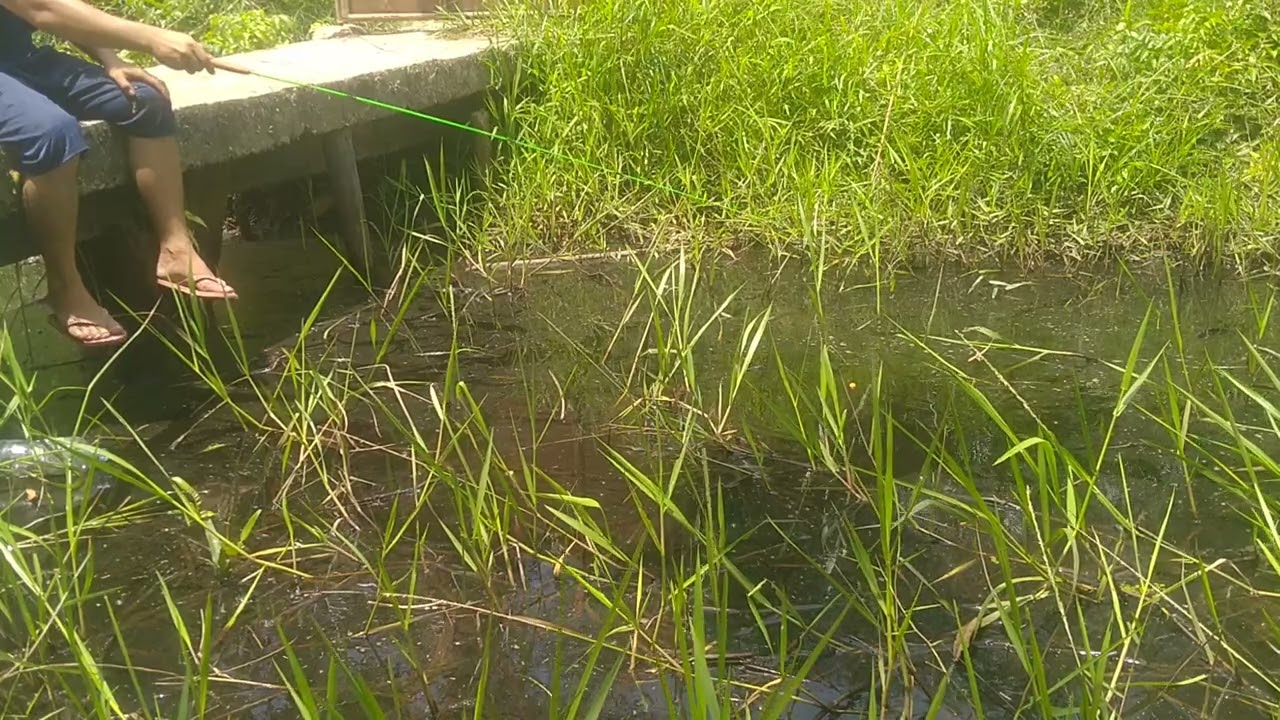 Serunya mancing ditempat banyak ikan