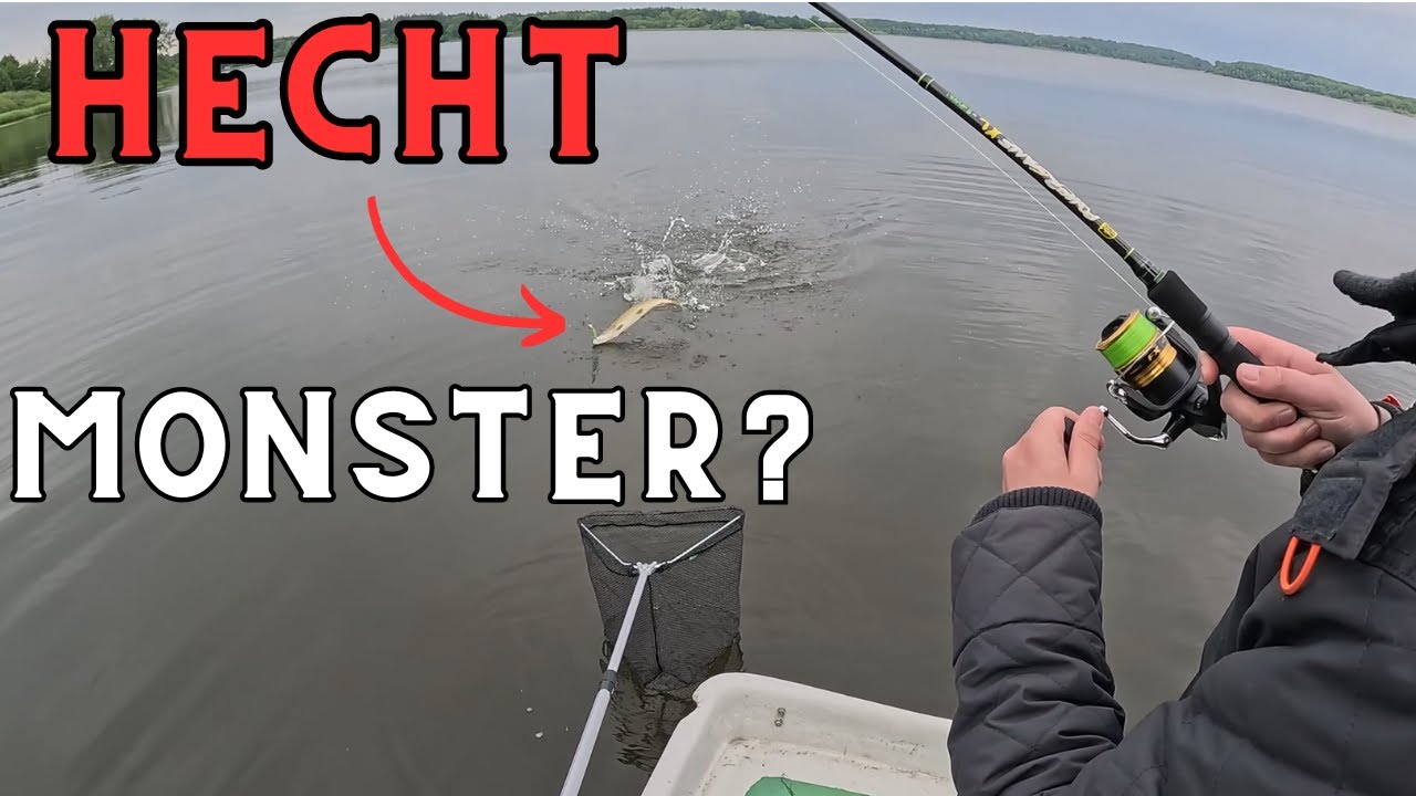 Unsere ersten Hechte aus dem Westensee!