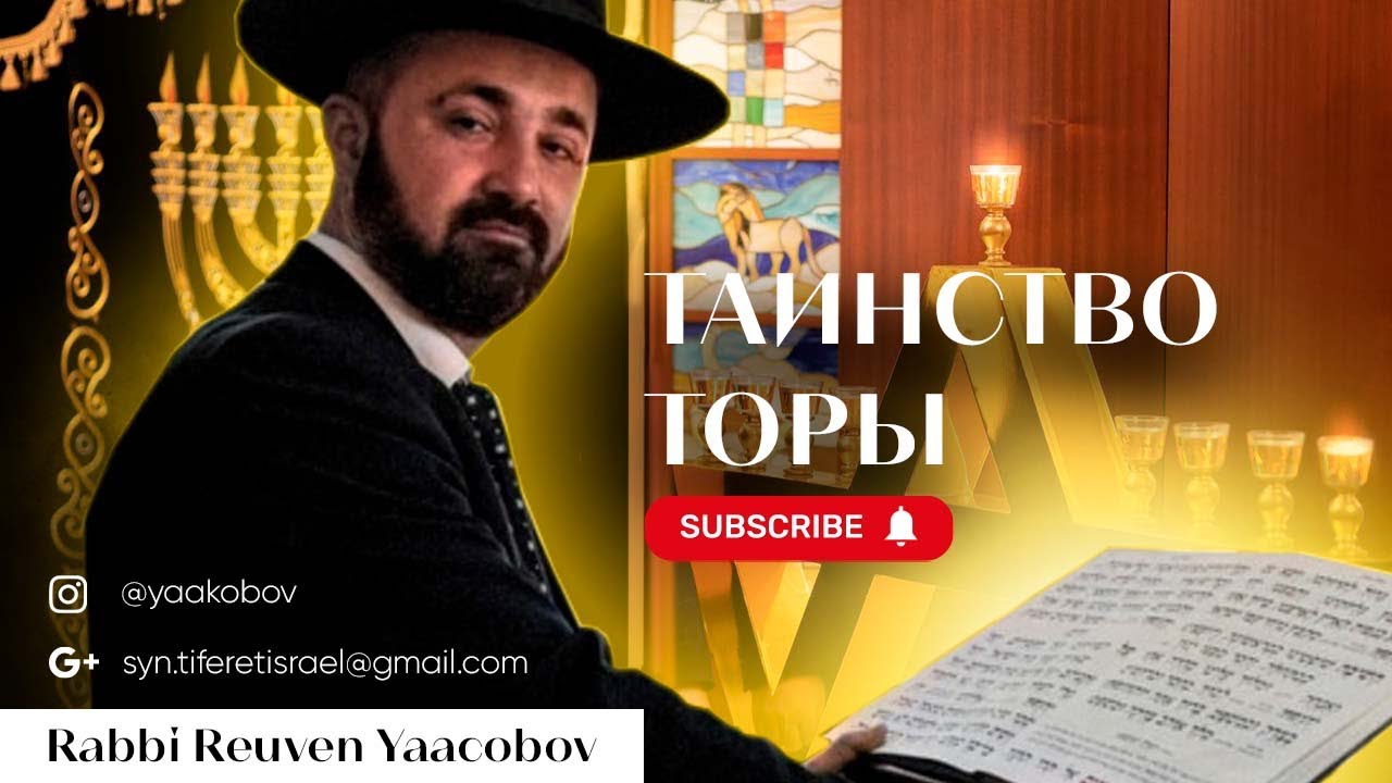 Weekly Torah Portion 