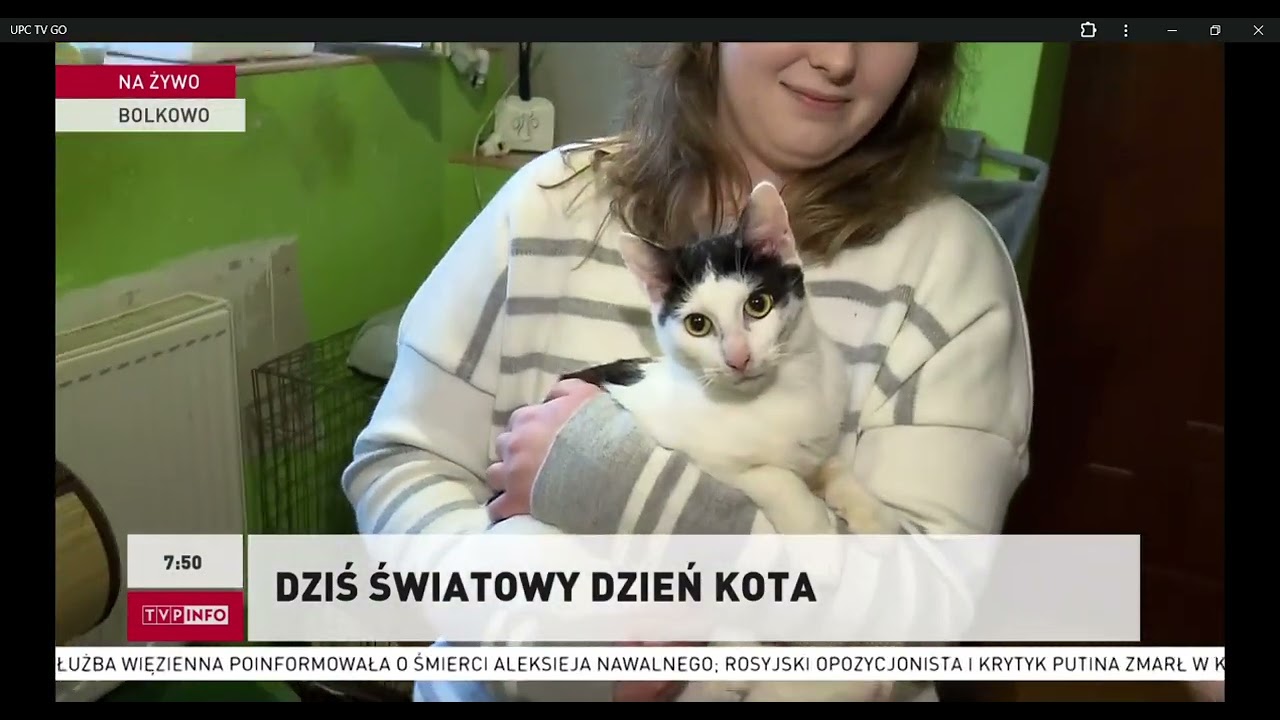 Międzynarodowy Dzień Kota w TOZ Jawor