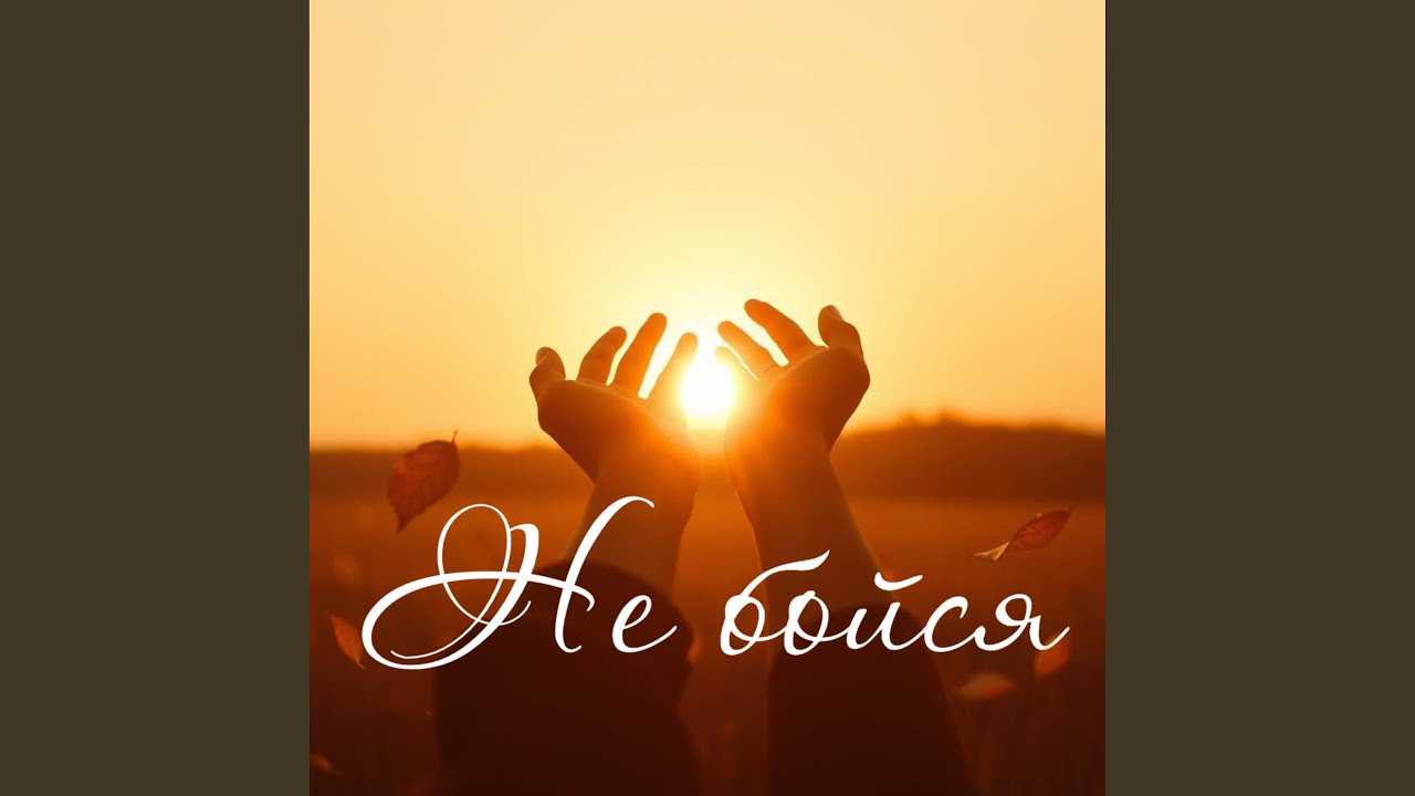 Едем в лес