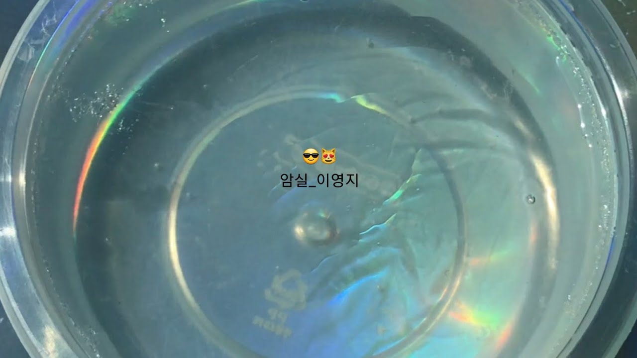 암실_이영지 가사🥰