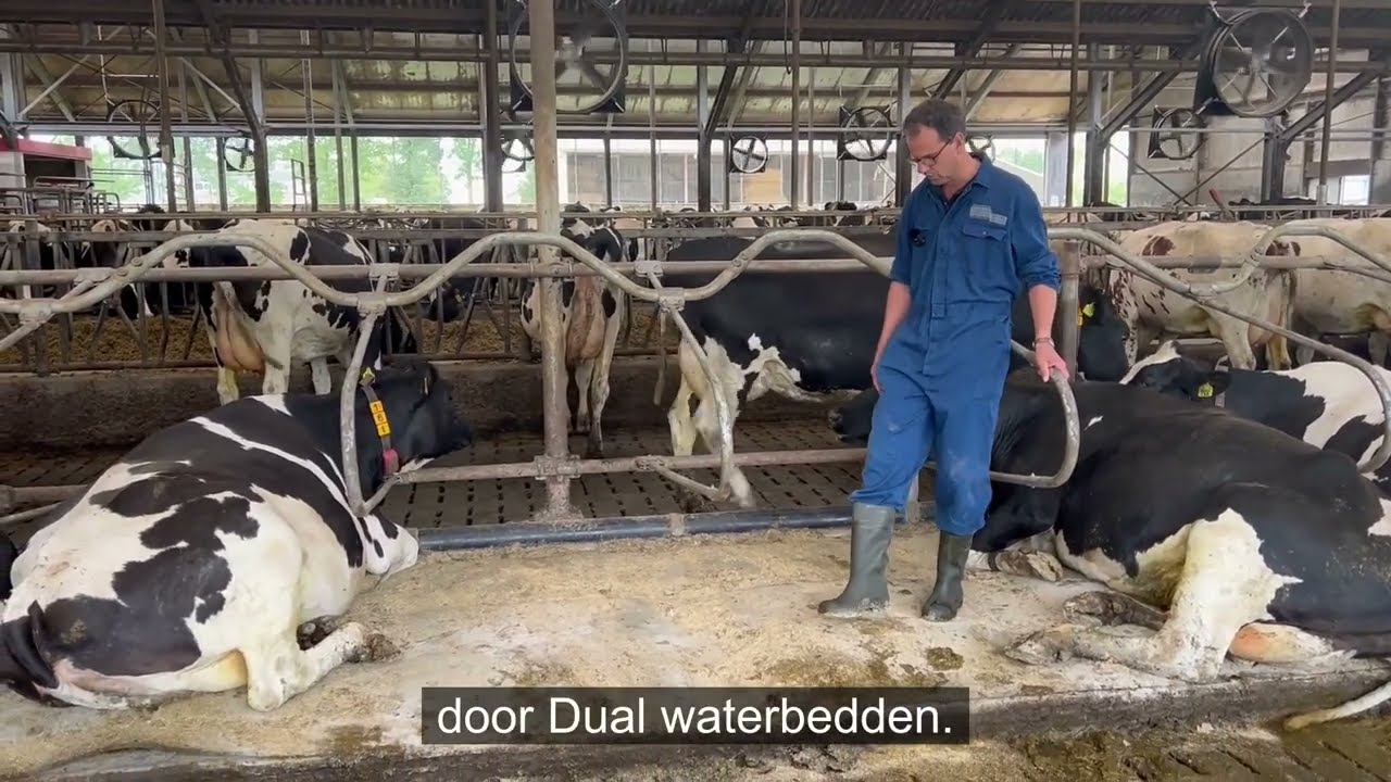 VLOG 64: STALRENOVATIE PRAKTIJKBOERDERIJ- SPINDER