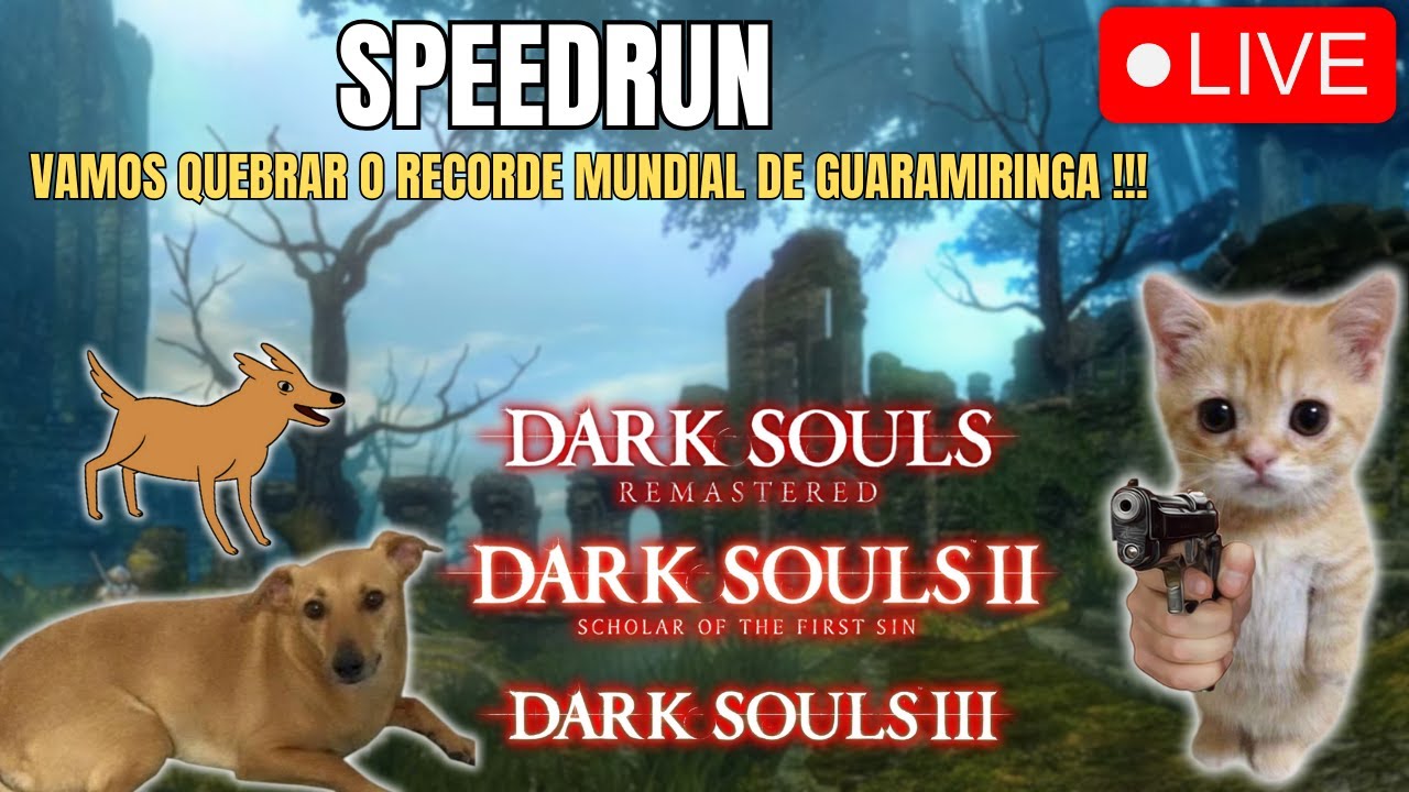 Live dos caxórros 1.0 (abrigos para cães e gatos) - 