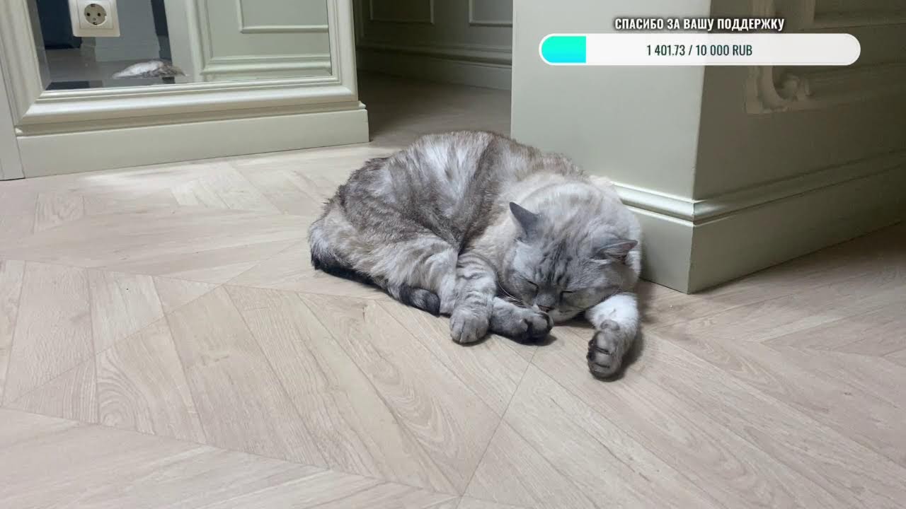 Добрый вечер