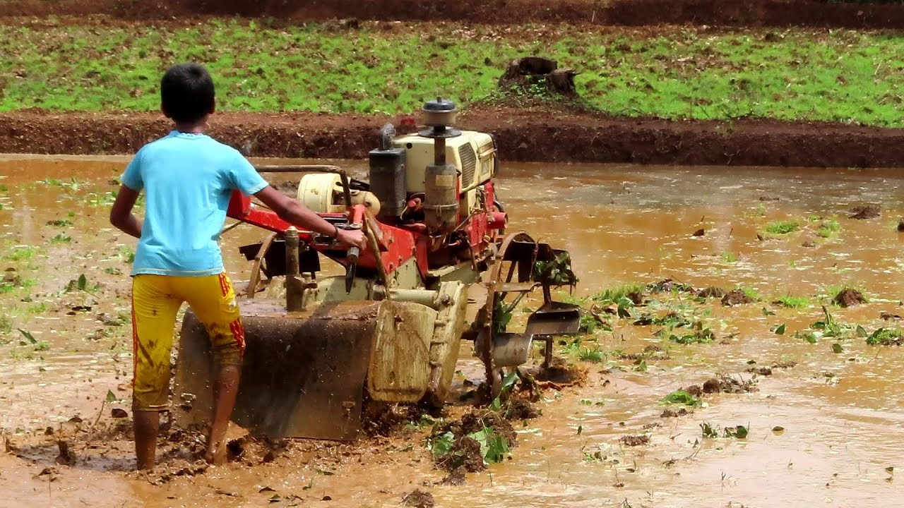 13yr BOY HANDLING MITSUBISHI POWER TILLER | #VILLAGE BEAUTY #PADDY FIELDS #mitsubishi tiller #tech