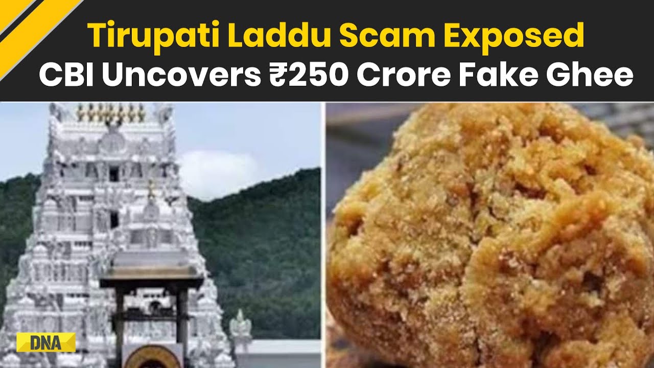 Tirupati Laddu Scam Exposed CBI Reveals ₹250 Crore Fake Ghee Supplied For Prasad