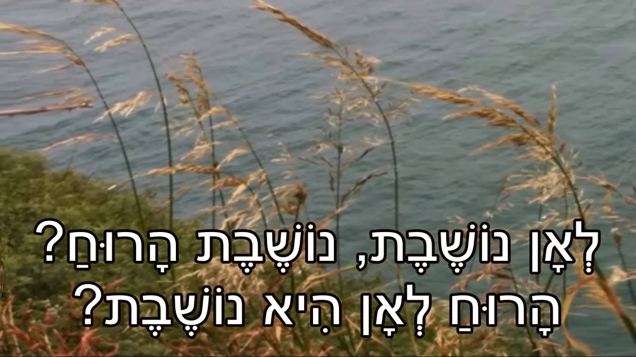 שיר עד - לאן נושבת הרוח - מילים: עמוס אטינגר | לחן: נחום היימן | שירה: אראלה בר-לב - Erela Bar-Lev