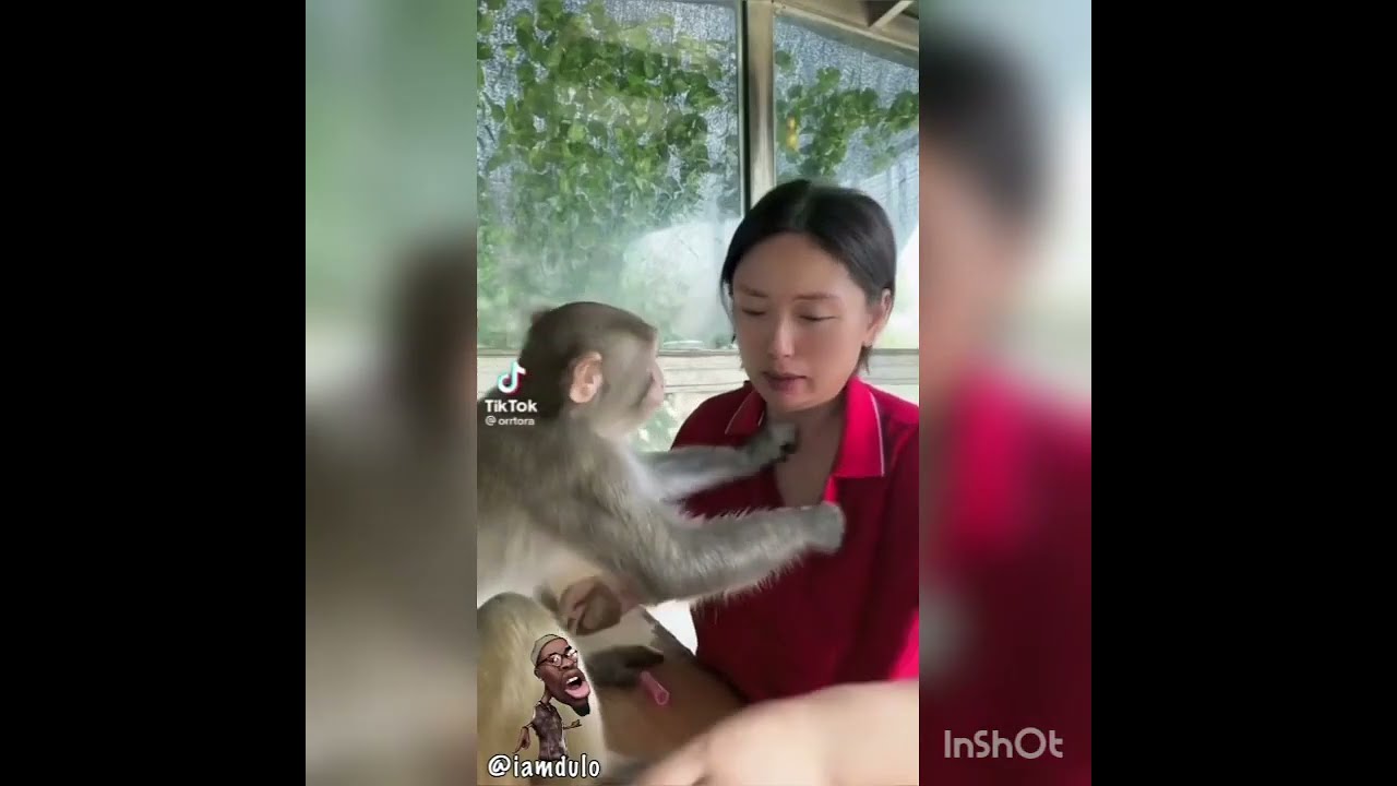 Iam dulo Funny instgram videos compilation # part 1