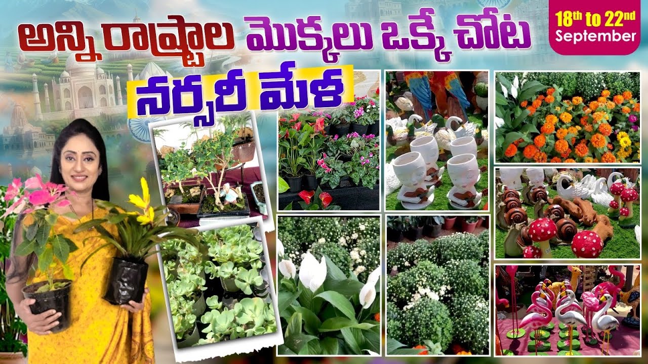 🌿 Hyderabad Nursery Mela | Necklace Road Peoples Plaza || 18-22 September#kalyaninewspresenter 