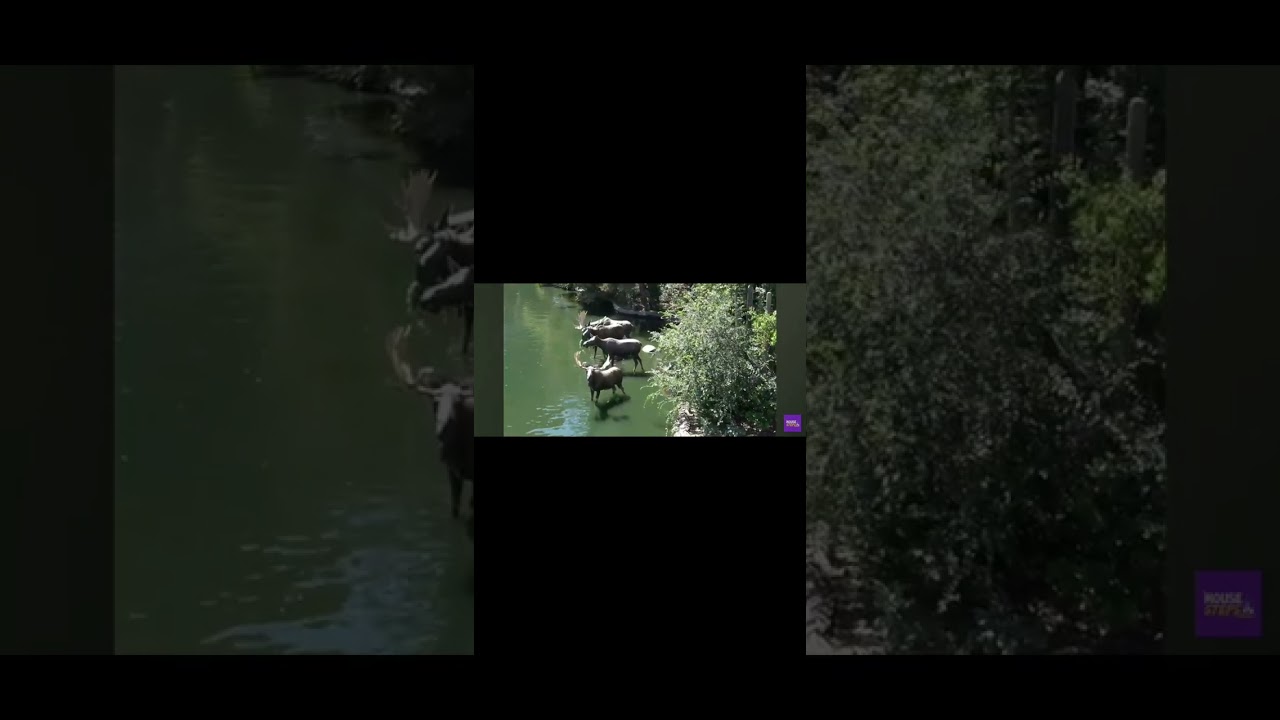Goodbye Mark Twain Riverboat And Tom Sawyer Island (credit to Mousesteps)