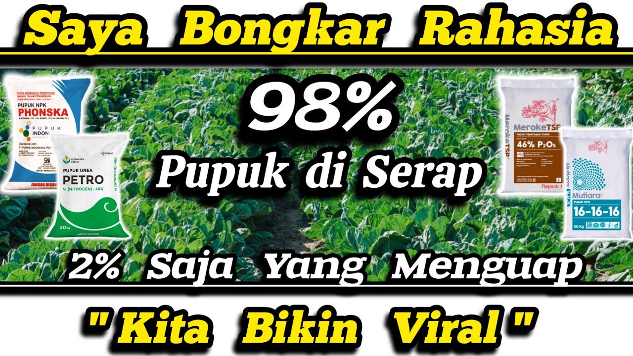 🛑 Bongkar Rahasia‼️Ternyata Pupuk Murah Bisa Terserap 98% Oleh Tanaman ✅ Cuma 2% Saja Yang Menguap💥