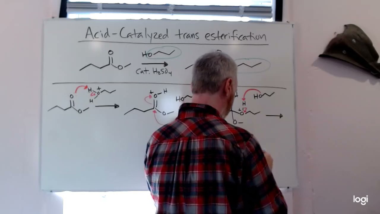 Acid Catalyzed Trans Esterification Reaction