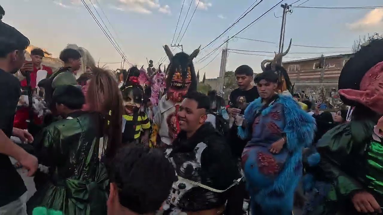 EL CARNAVAL DE SAN MARTIN TOLTEPEP 2026