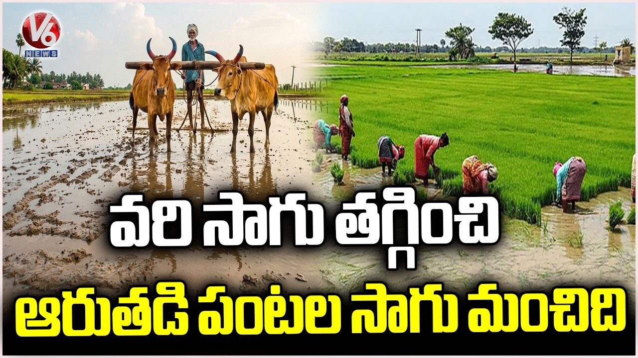 Telangana Agriculture Department focuses on monsoon cultivation | V6 News
