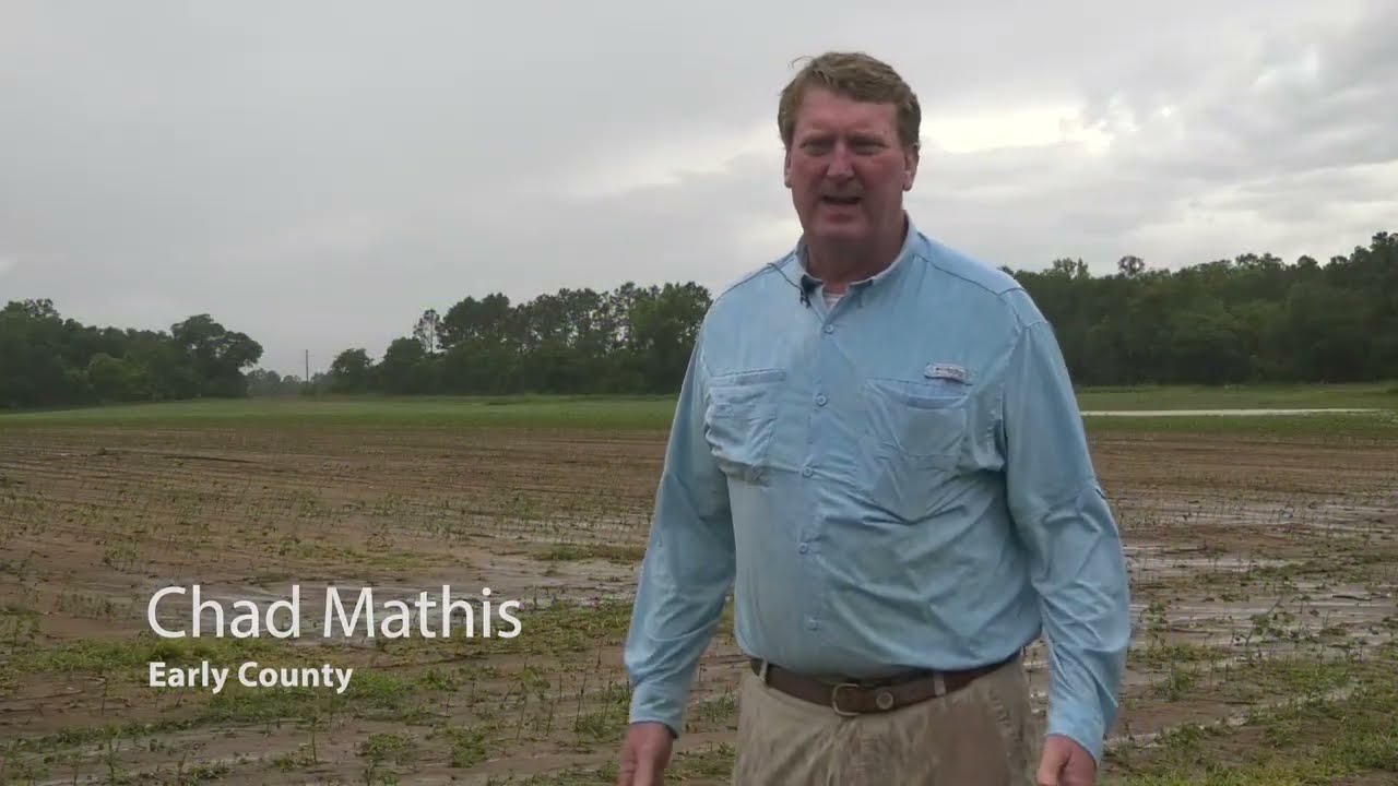 Chad Mathis - Damaged Cotton