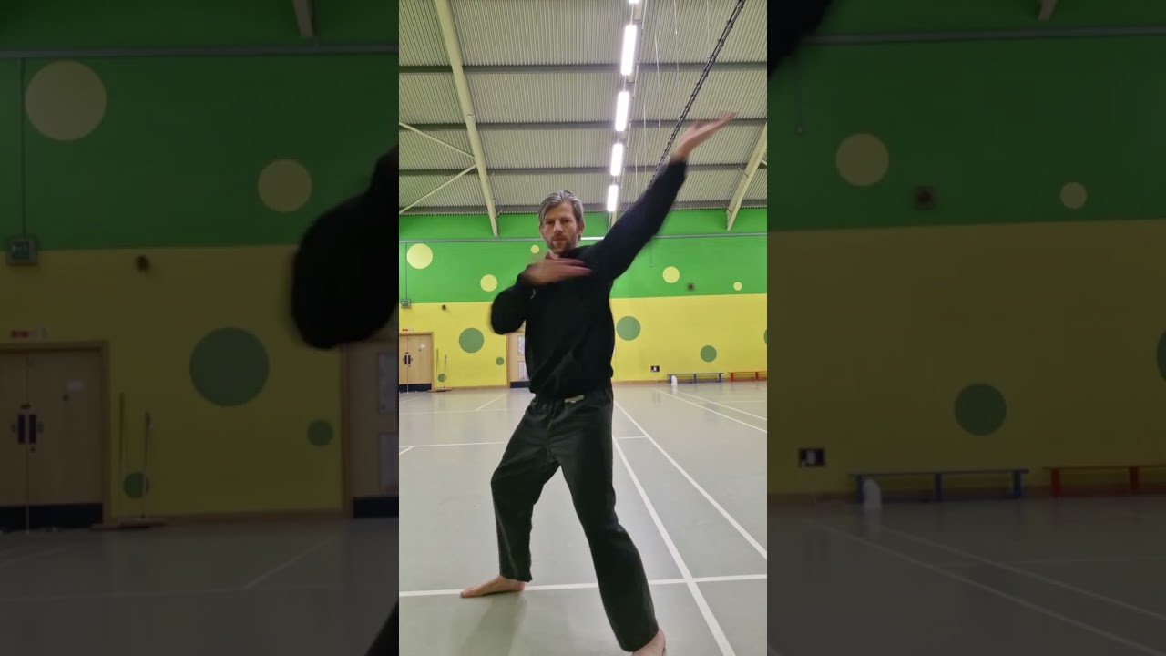 Just a few details on the turning / rotations in patterns - freestyle taekwondo Matrix Martial Arts