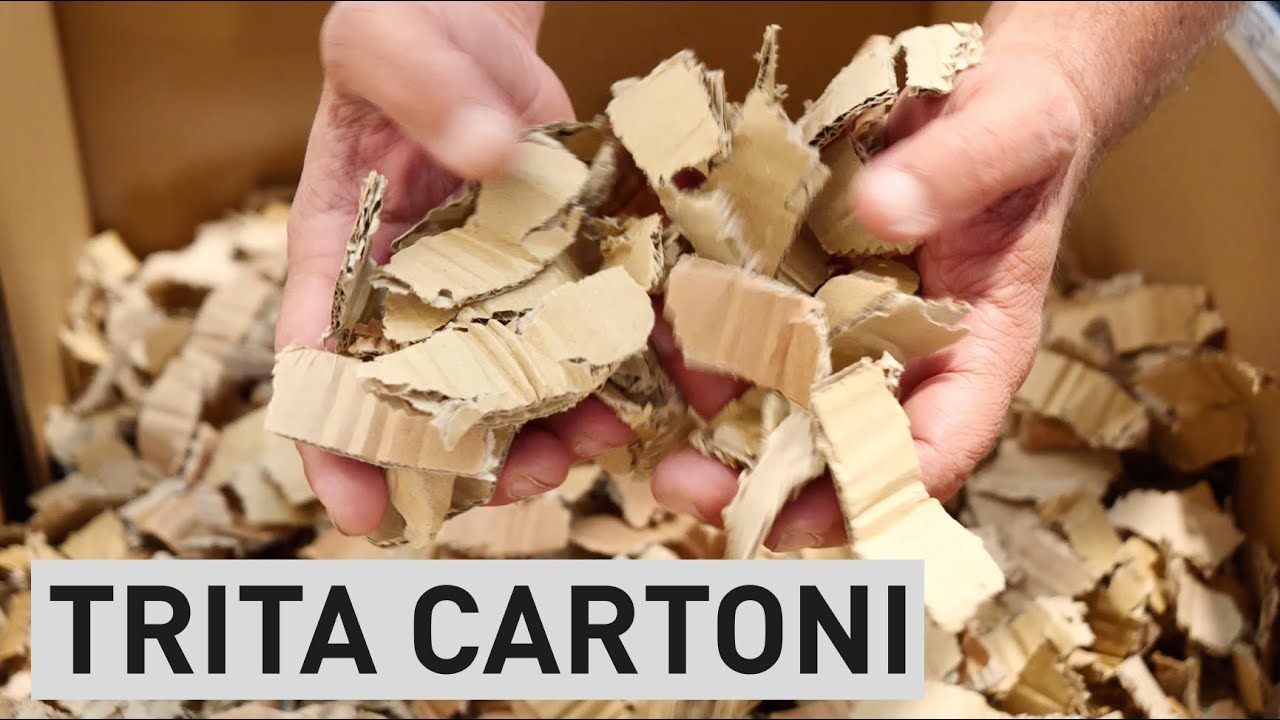 Trita cartoni usati: Tritacartoni Trituratore Distruggi cartone: palline coriandoli imballaggio