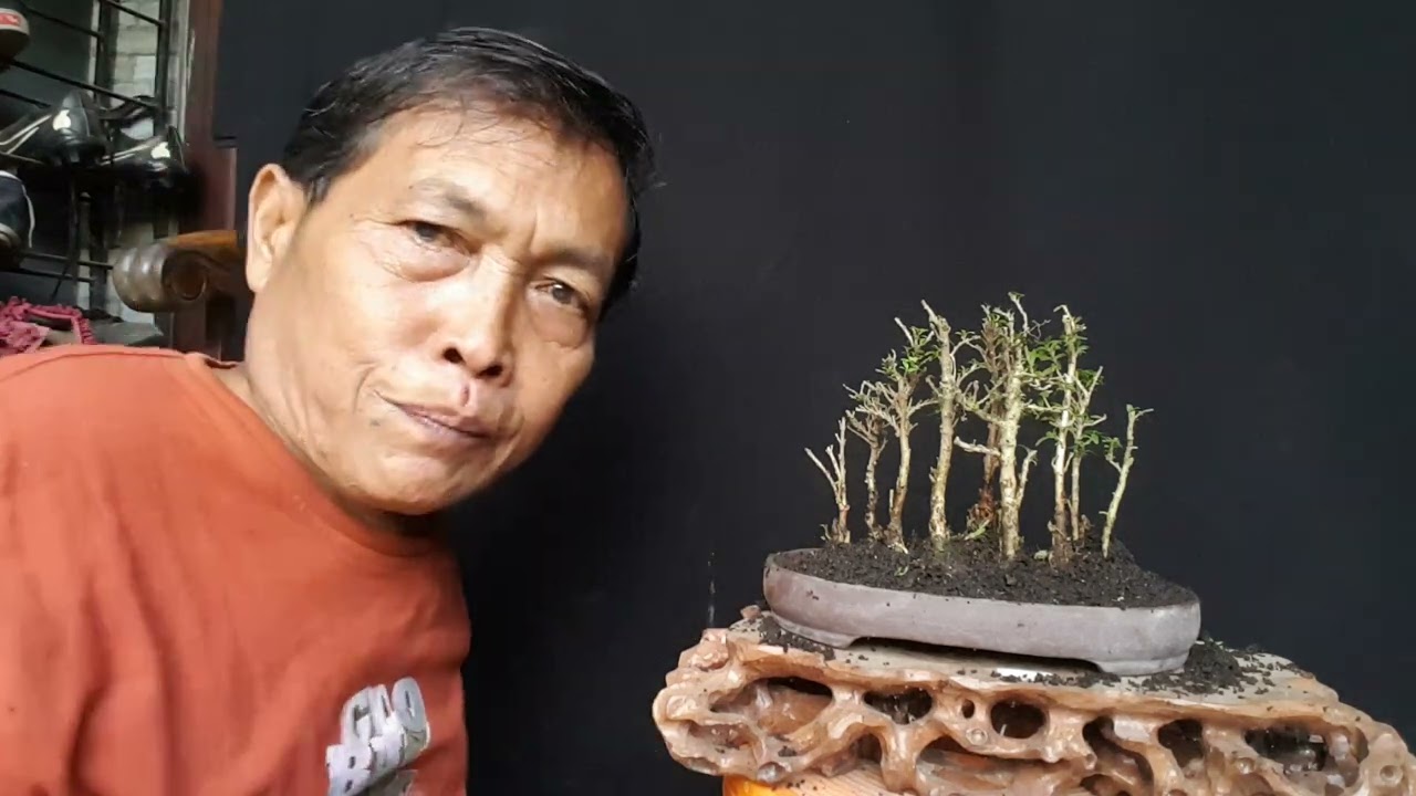 Reques cara bikin grouping yg benar