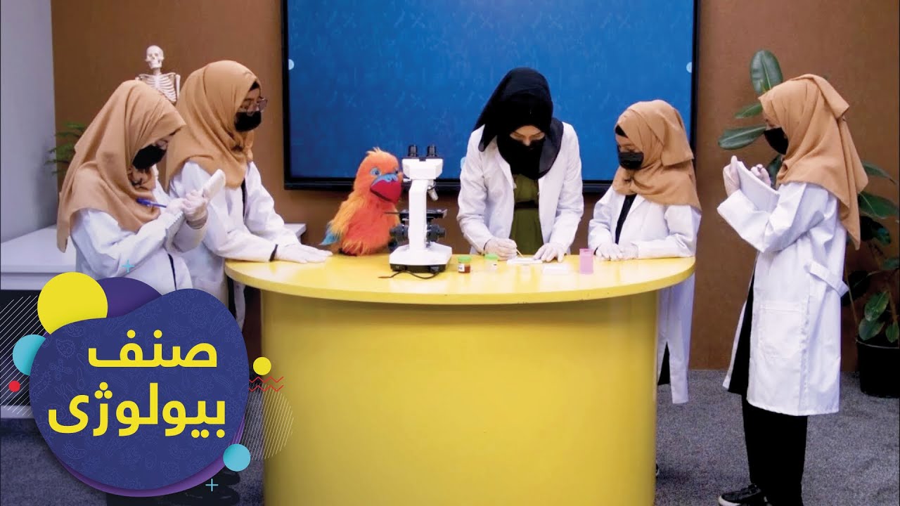 SENF - Biology Grade 7 - Episode 2 | صنف - بیولوژی صنف هفتم - درس ۲: موجودات یک حجروی و چندین حجروی