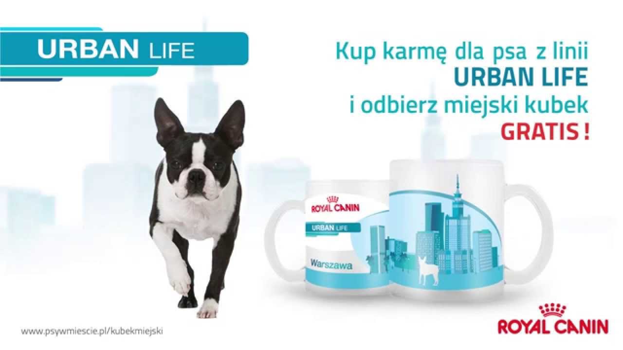 Kup karmę Royal Canin Urban Life i odbierz kubek!