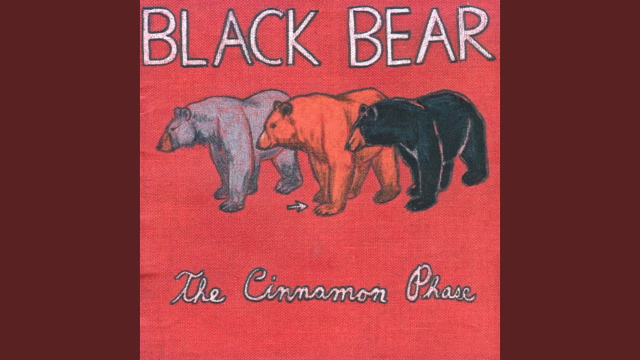 Black Bear