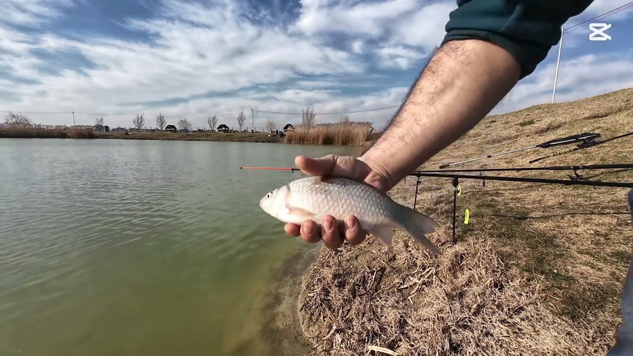 07.03.2025 Prima ieșire la pescuit din acest an – Becicherecul Mic 🎣❄️