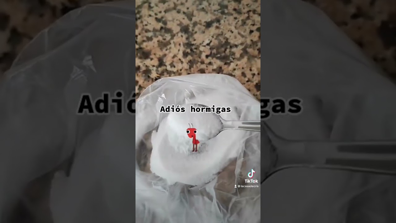 Remedio casero para eliminar las hormigas , diles adiós para siempre !!