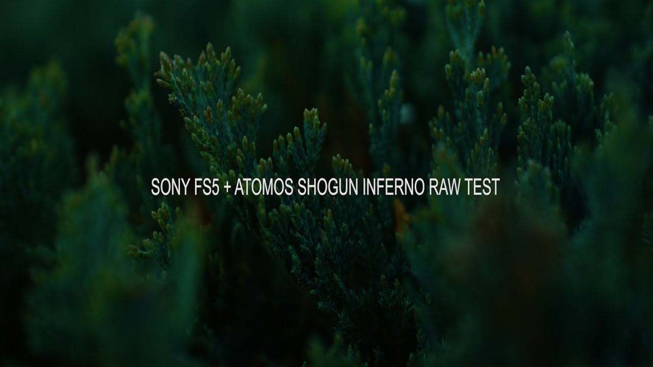 Sony FS5 + Atomos Shogun Inferno DNG Raw Test