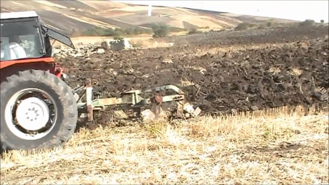 Azienda Agricola Miele  Andretta