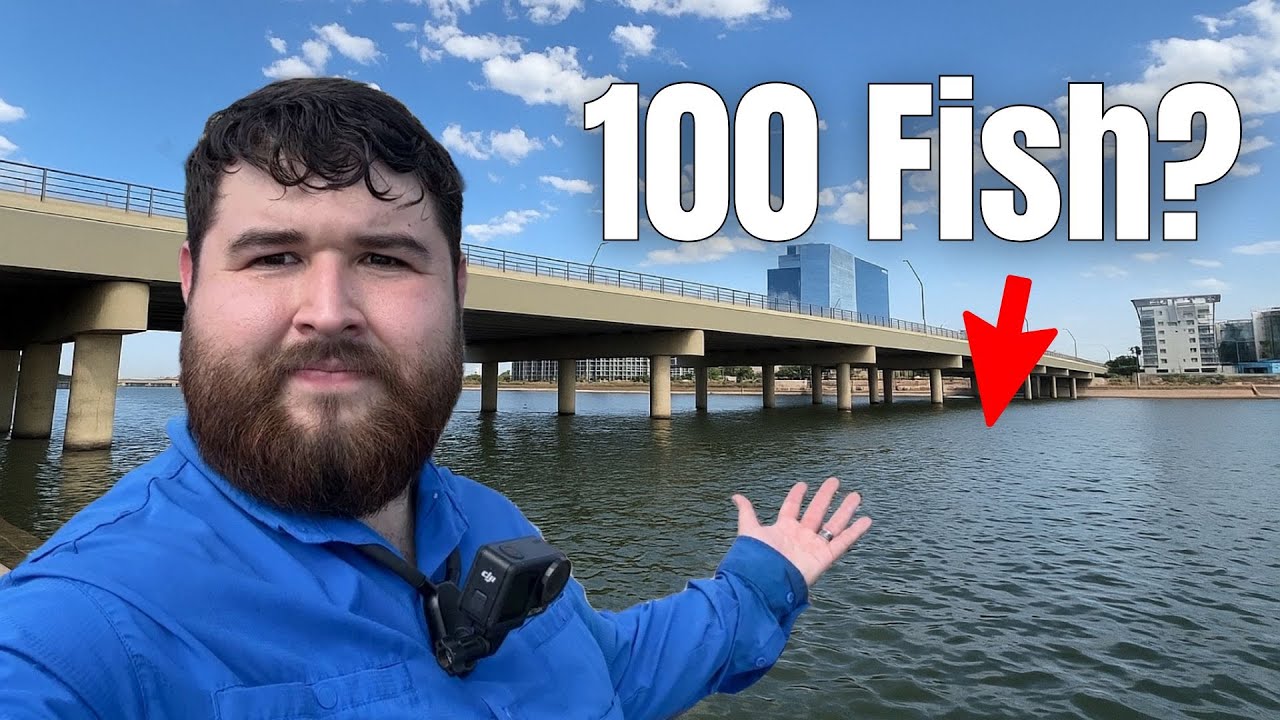 Сможем ли мы поймать 100 рыб на озере города Темпе?