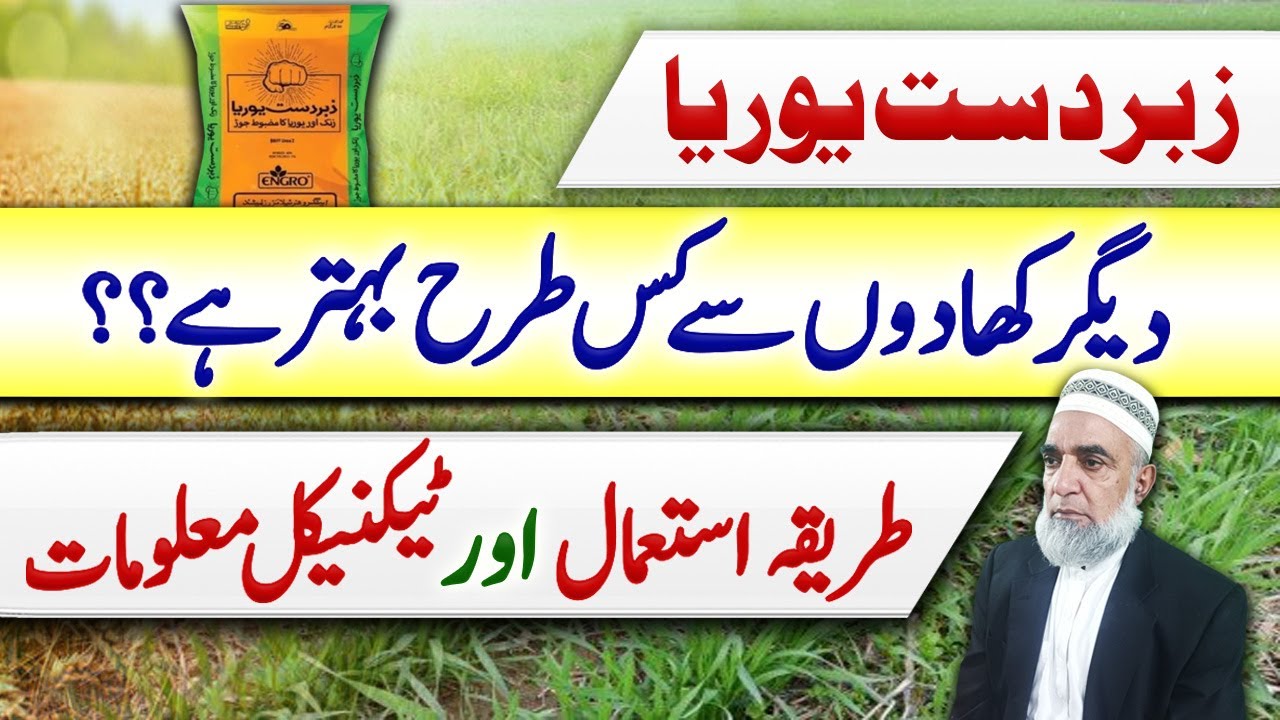 How Zabardast Urea is better than other formulations of Urea || Crop Reformer
