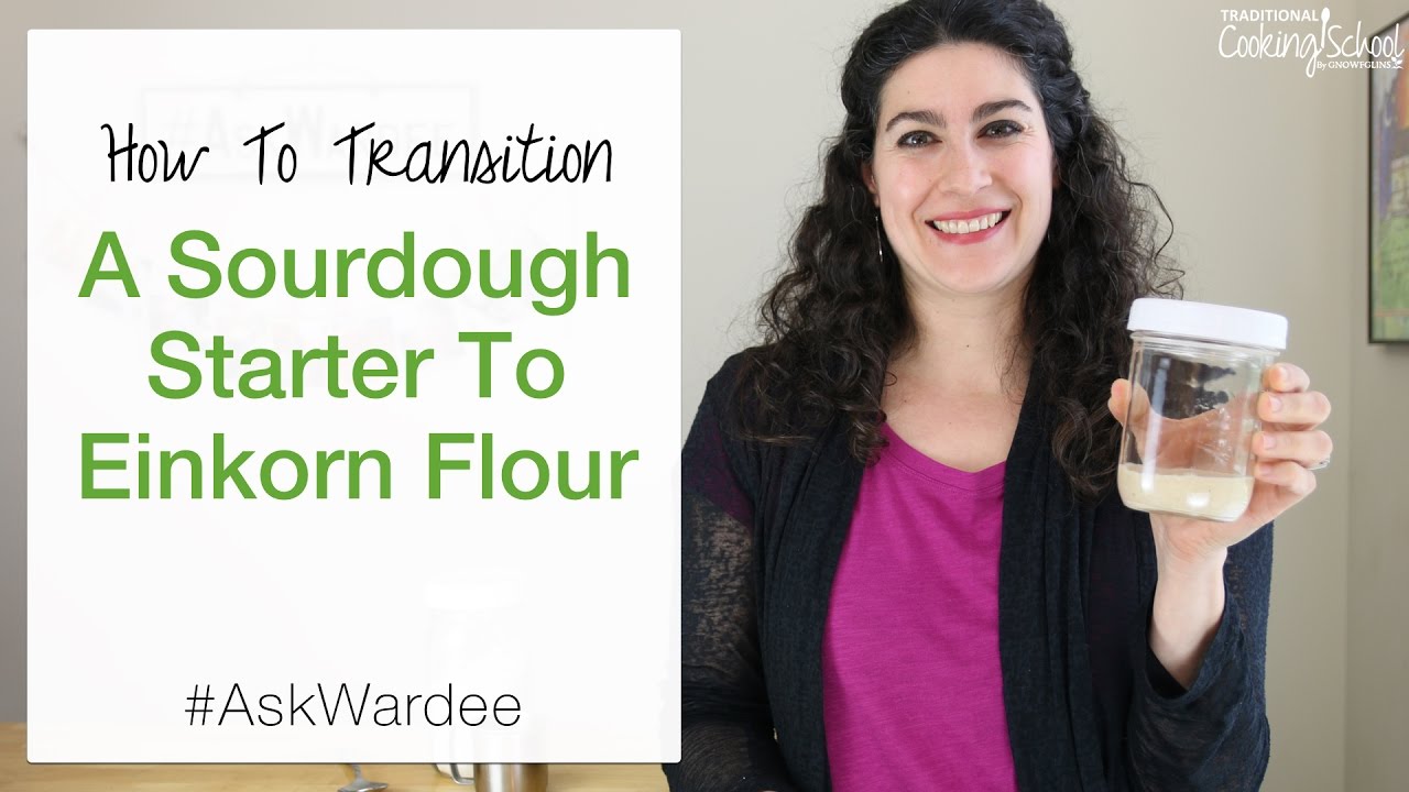 How To Transition A Sourdough Starter To Einkorn Flour | #AskWardee 069