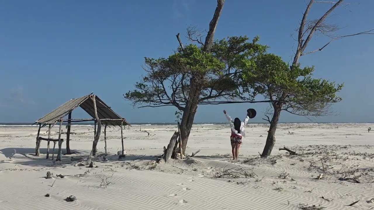 ILHA DOS LENÇOES-RESERVA EXTRATIVISTA DE CURURUPU-MARANHÂO. 