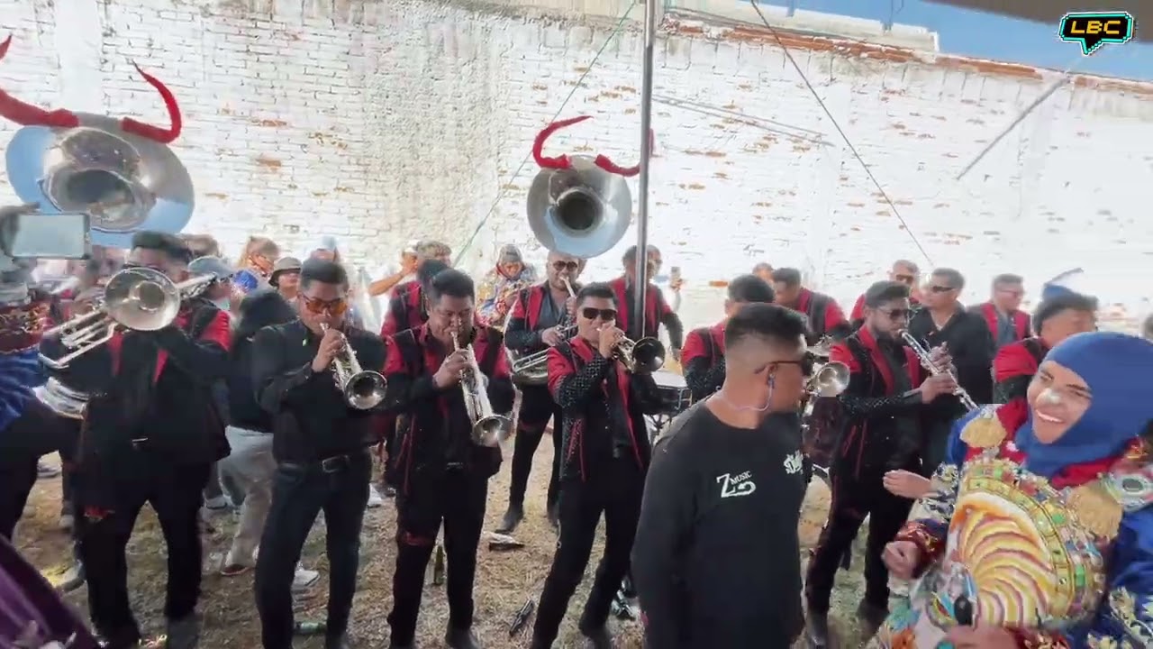 LOS ELEFANTES - LOS FREGONCITOS | BANDA LA DIABLA