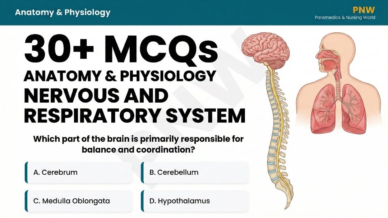 JKSSB Nursing MCQs | Nervous & Respiratory System | 30+ Questions | Staff Nurse 2026
