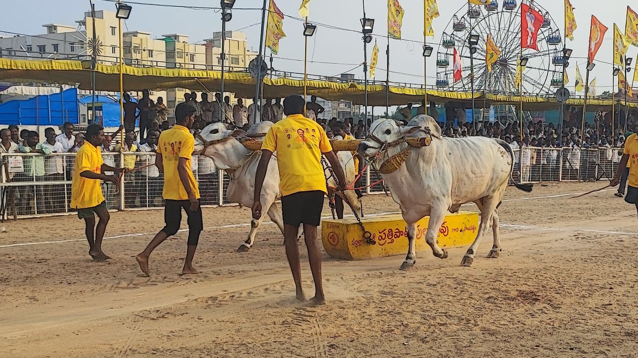 చిలకలూరిపేట న్యూ కేటగిరి విభాగంలో 2వ జత