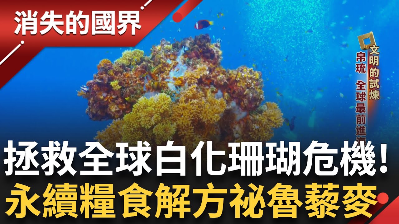 全球暖化使珊瑚陷入白化危機 帛琉觀光業靠菲律賓人撐 印尼新綠能大計 越南台商獨創蒙古包養蝦 祕魯古物之母