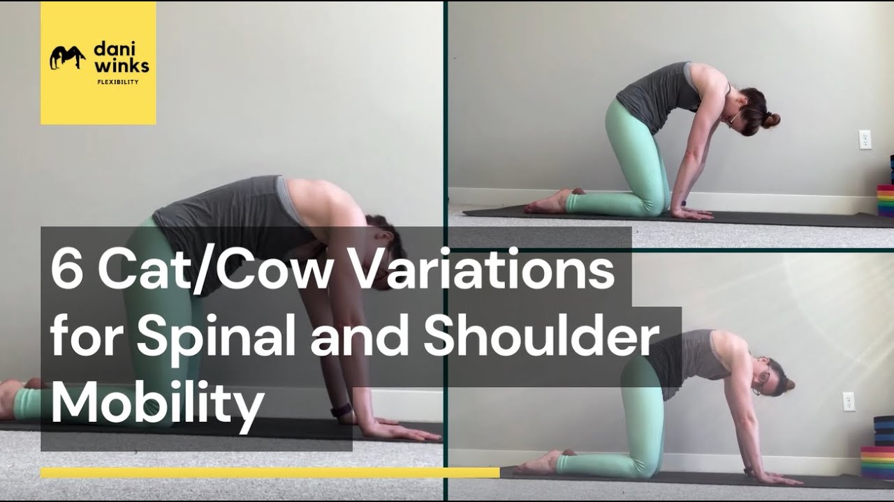 6 Cat Cow Variations for Spinal and Shoulder Mobility